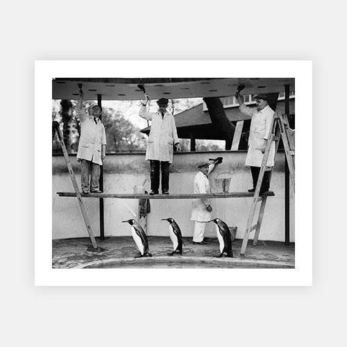 Wall Art Viewer Frames Render