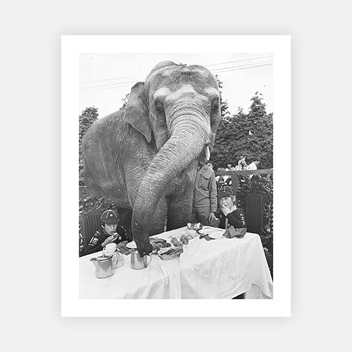 Elephant For Tea-Black & White Collection-Fine art print from FINEPRINT co