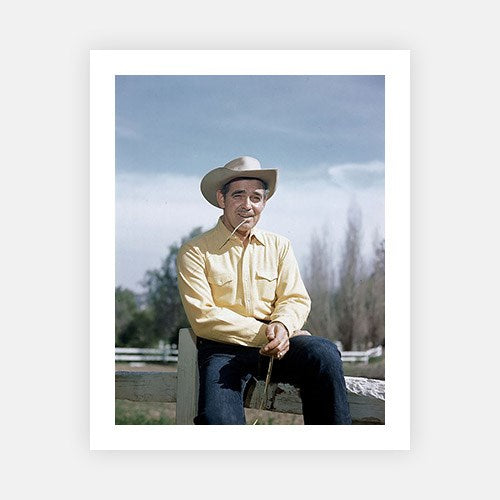 Clark Gable-Mid-Century Colour-Fine art print from FINEPRINT co