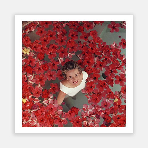 Hibiscus Flowers-Slim Aarons-Fine art print from FINEPRINT co