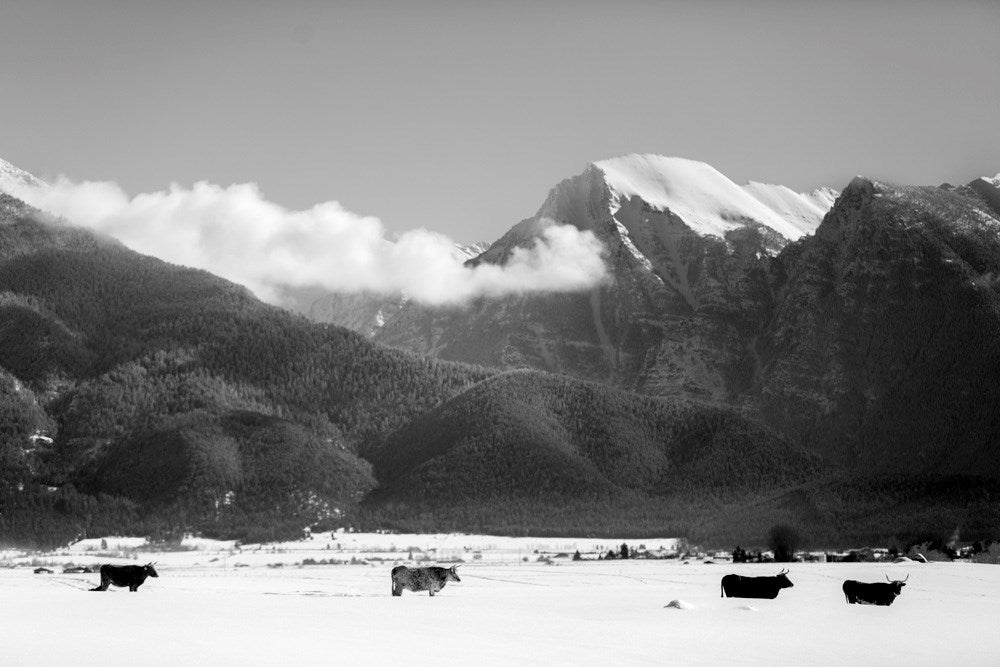 Wall Art Viewer Frames Render