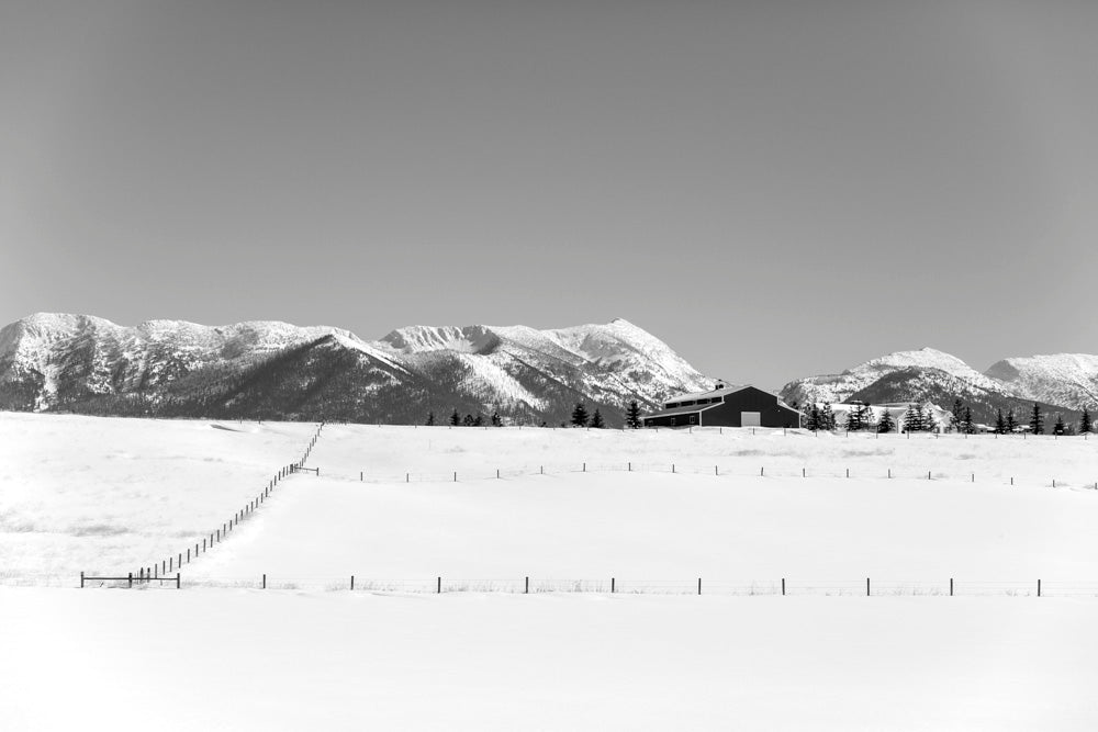 Wall Art Viewer Frames Render