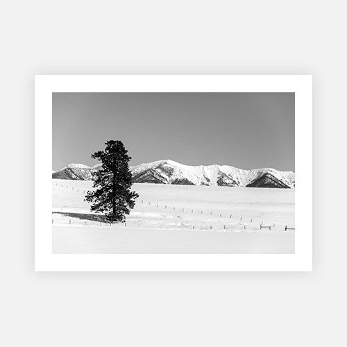 Wall Art Viewer Frames Render