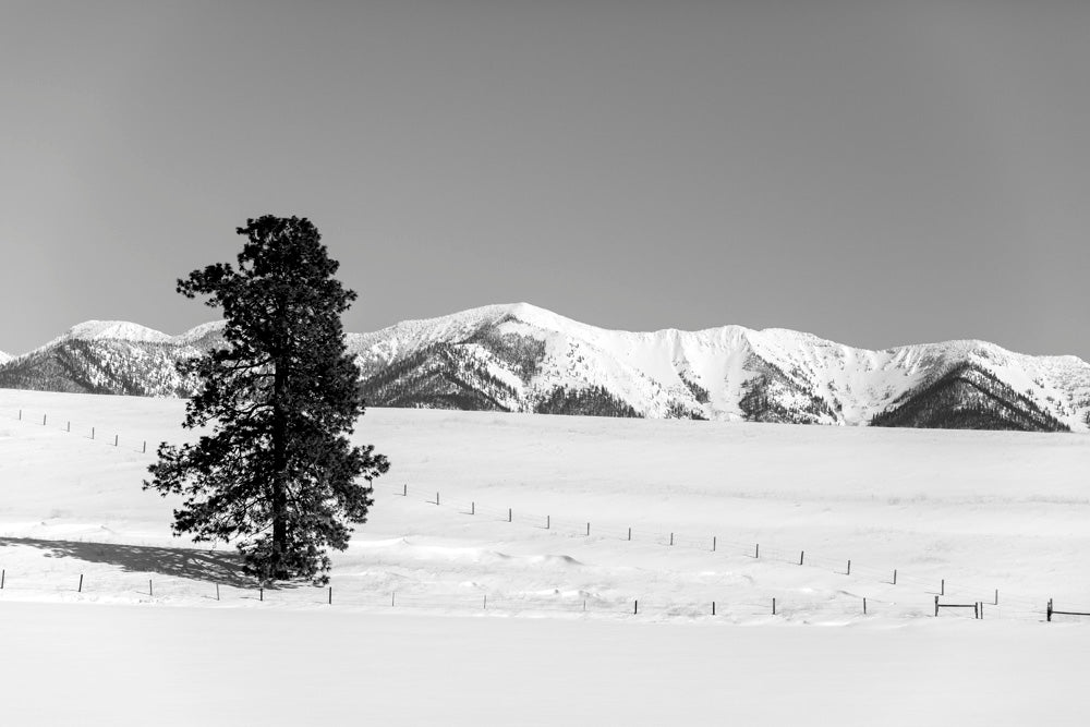 Wall Art Viewer Frames Render