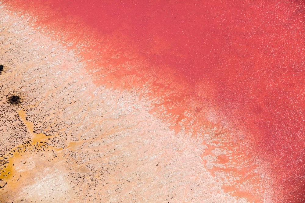 Wall Art Viewer Frames Render