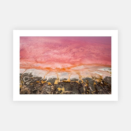 Pink Water Dripping-Photographic Editions-Fine art print from FINEPRINT co