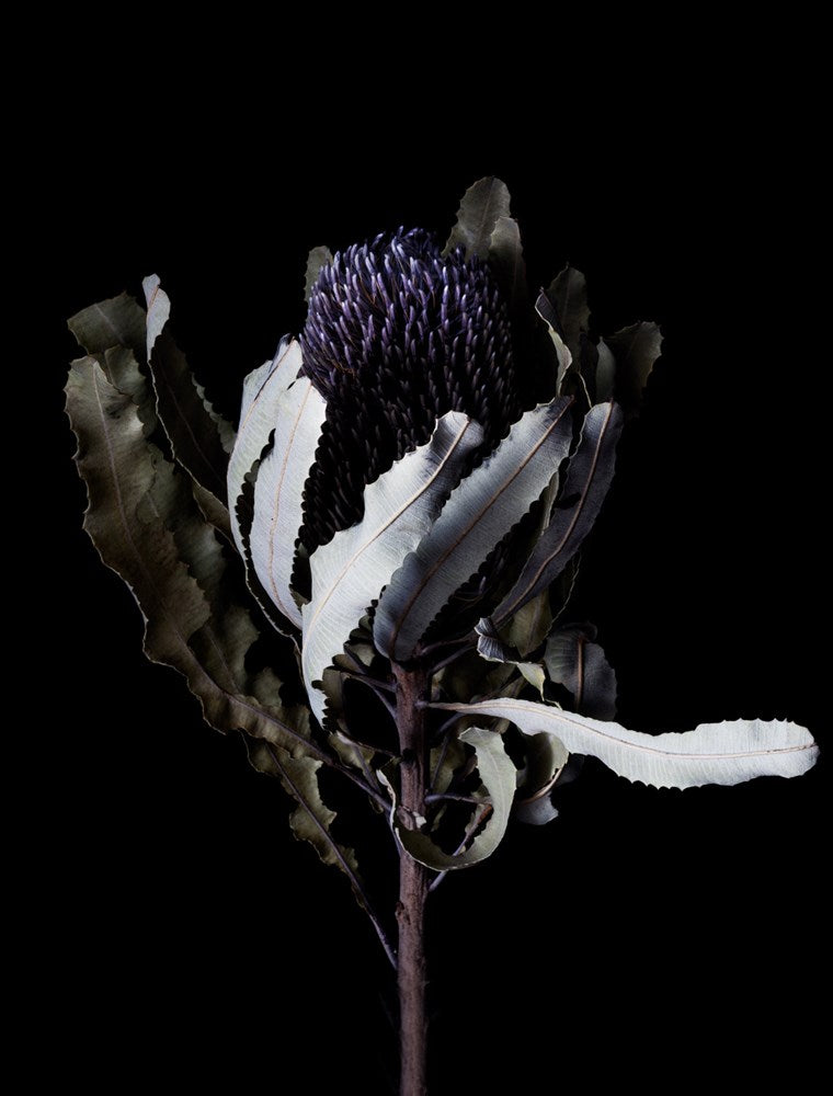 Wall Art Viewer Frames Render