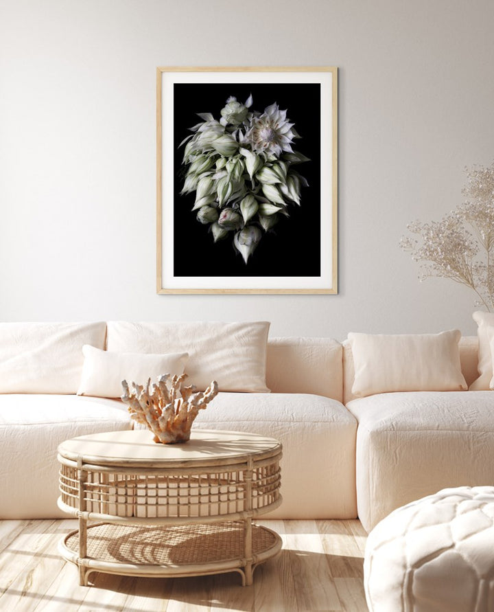 Blushing Bride Cluster-Photographic Editions-Fine art print from FINEPRINT co