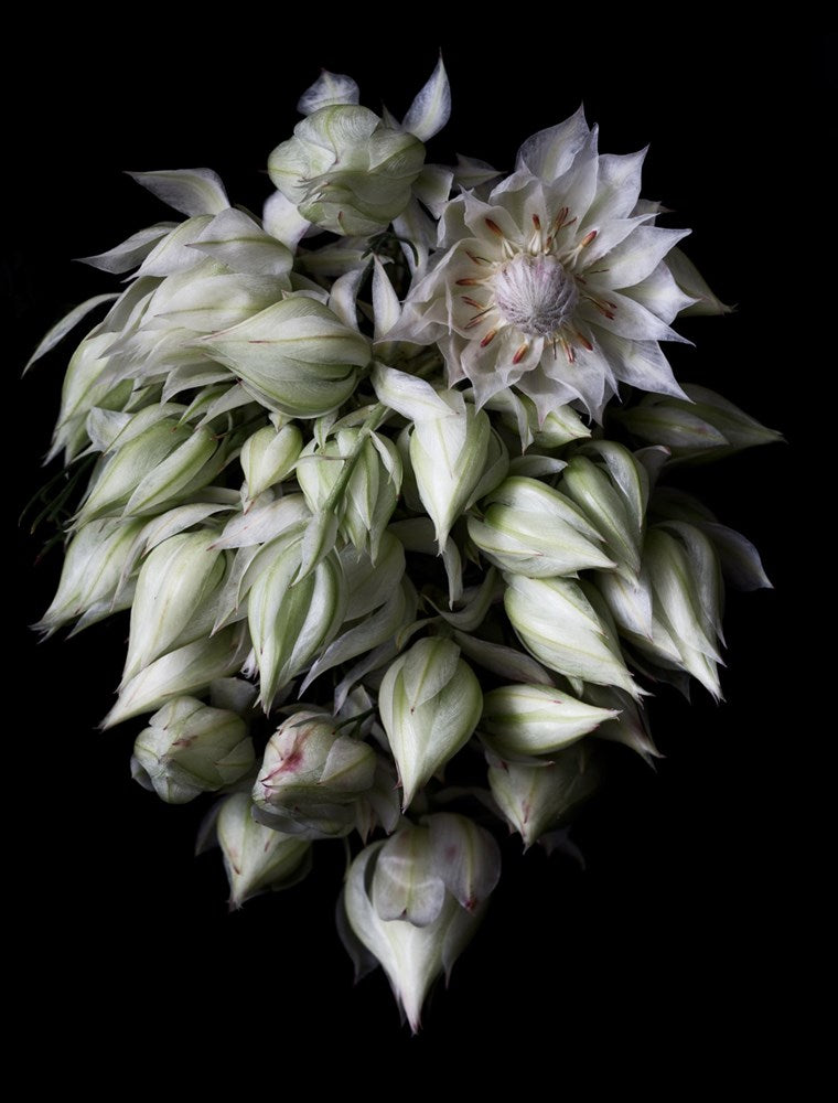 Wall Art Viewer Frames Render