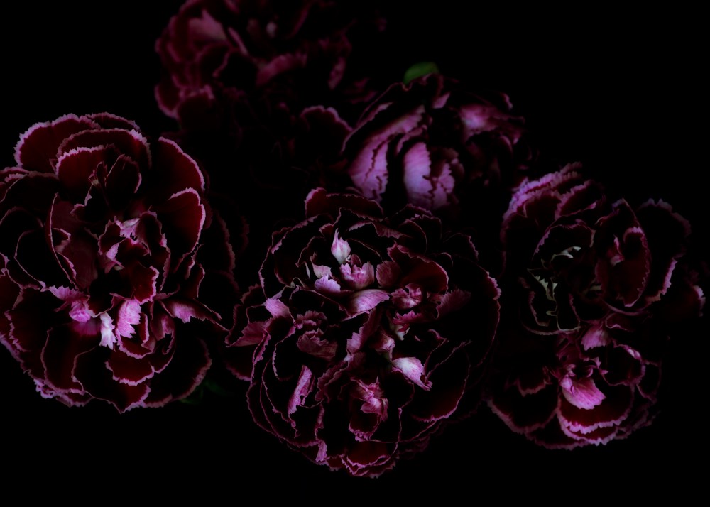 Wall Art Viewer Frames Render