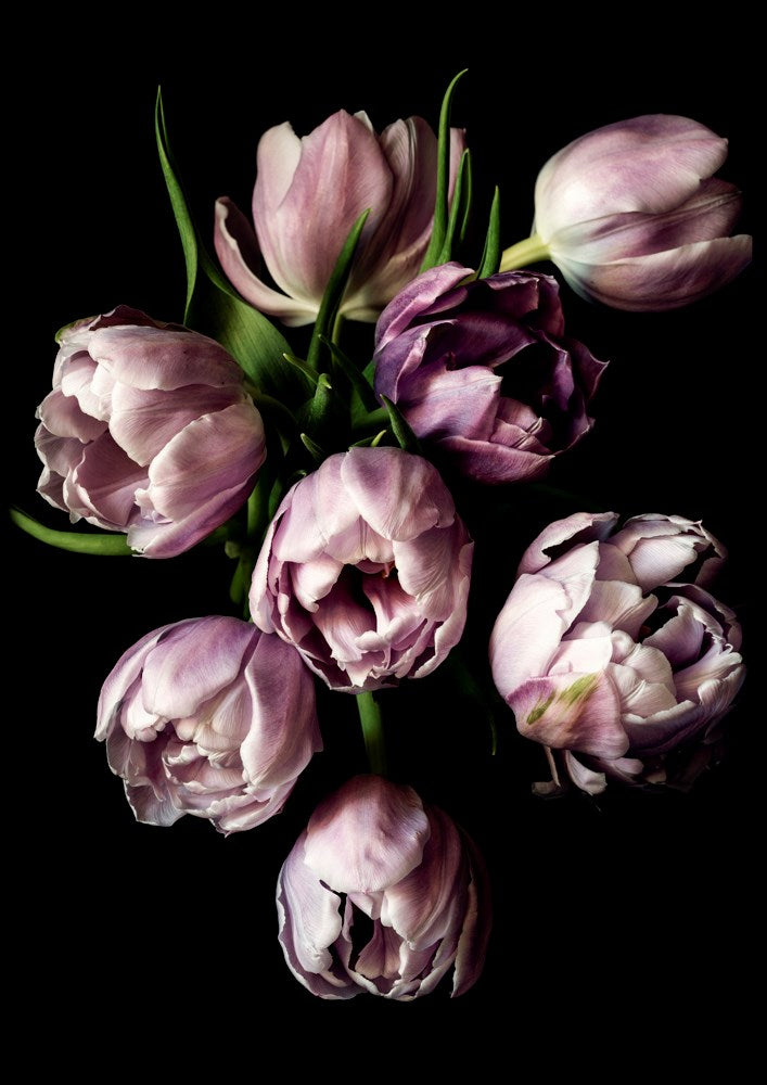 Wall Art Viewer Frames Render