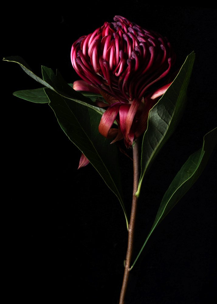 Wall Art Viewer Frames Render