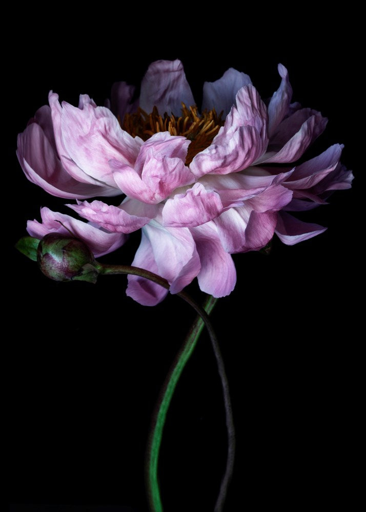 Wall Art Viewer Frames Render