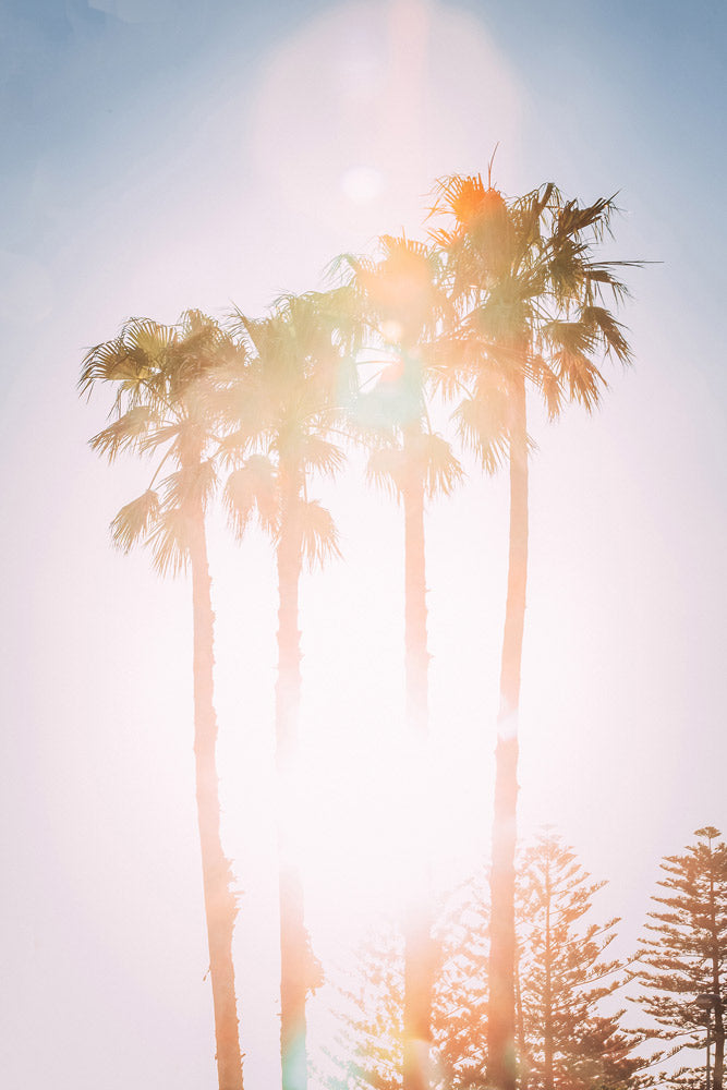 Wall Art Viewer Frames Render