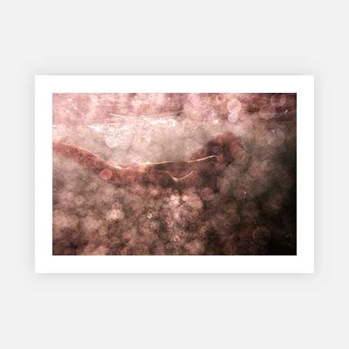 Wall Art Viewer Frames Render