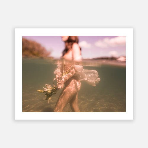 Language of Flowers 1