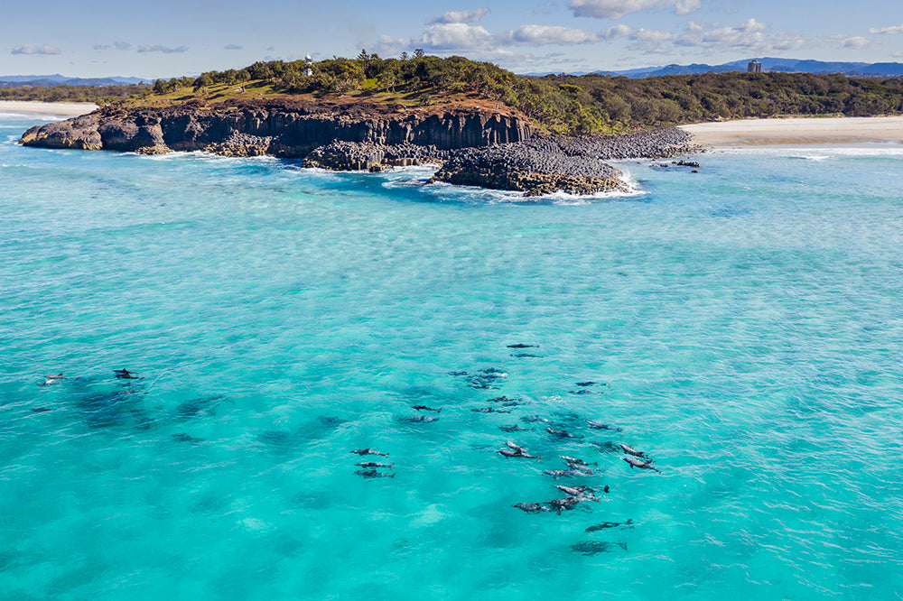 Wall Art Viewer Frames Render