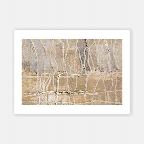 Up Close and Coastal VI