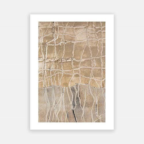 Up Close and Coastal VII