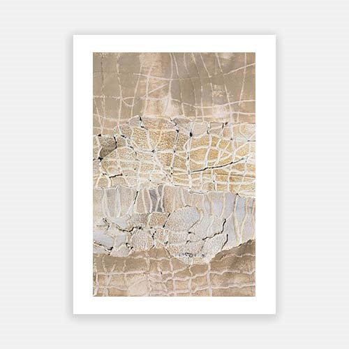 Up Close and Coastal XI