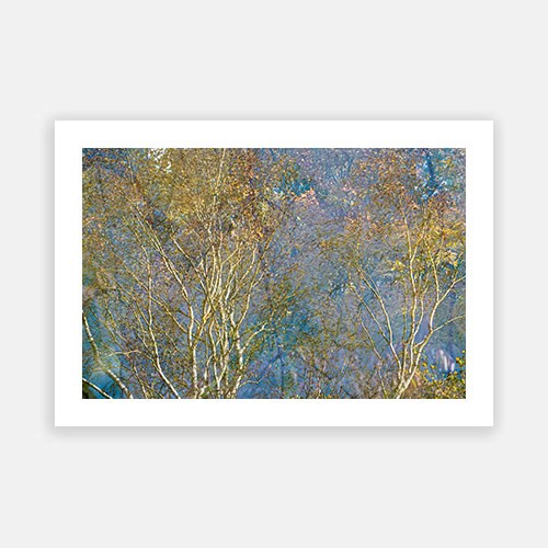 Wall Art Viewer Frames Render