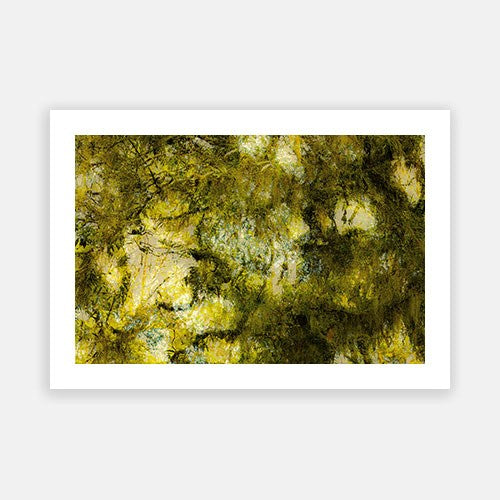 Wall Art Viewer Frames Render