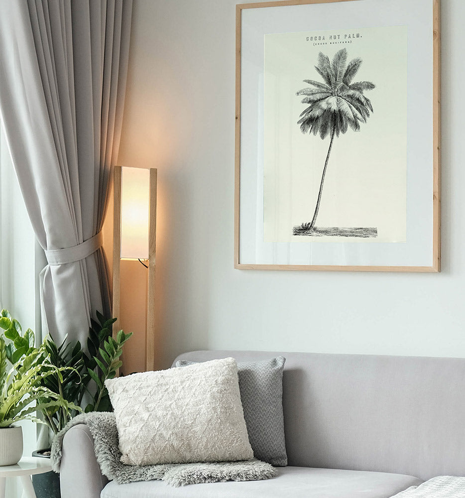 Cocoa Nut Palm-Open Edition Prints-Fine art print from FINEPRINT co