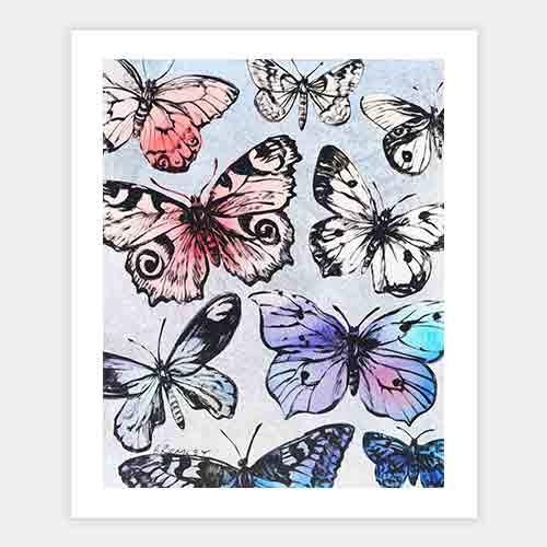 Butterflies by David Bromley - FINEPRINT co