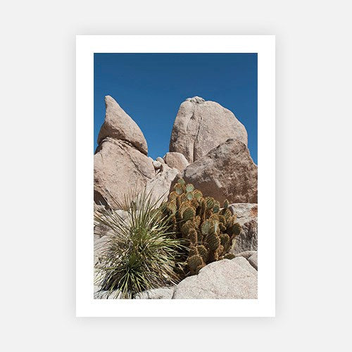 Barrens-Open Edition Prints-Fine art print from FINEPRINT co