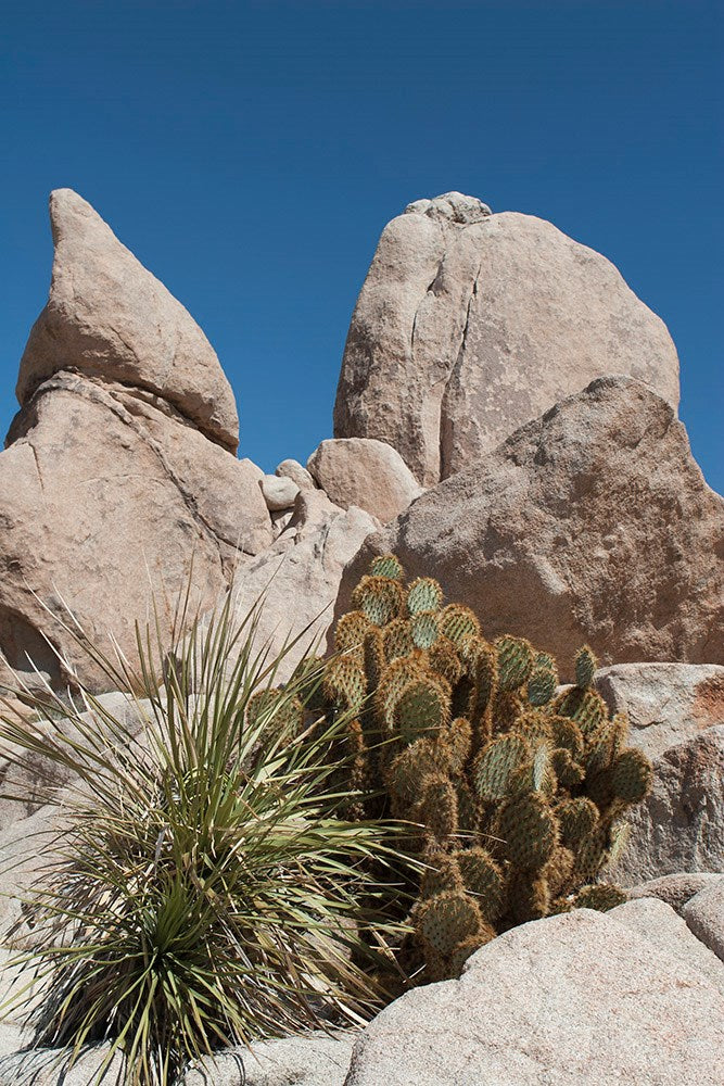 Wall Art Viewer Frames Render