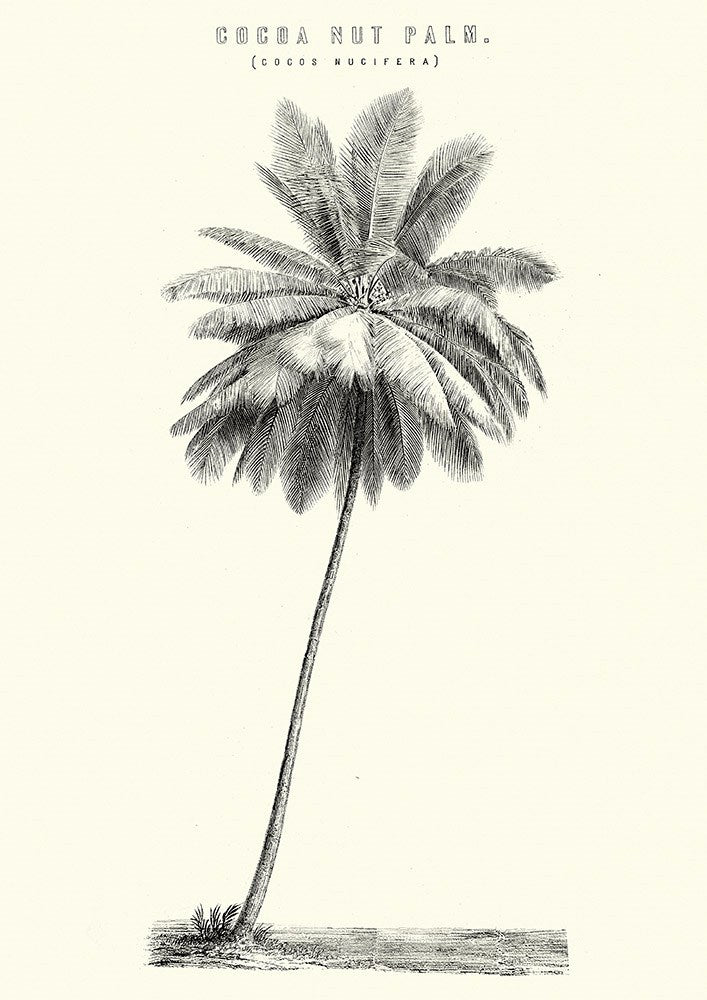 Wall Art Viewer Frames Render