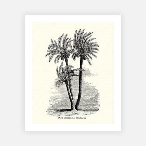 Palm Trees-Open Edition Prints-Fine art print from FINEPRINT co
