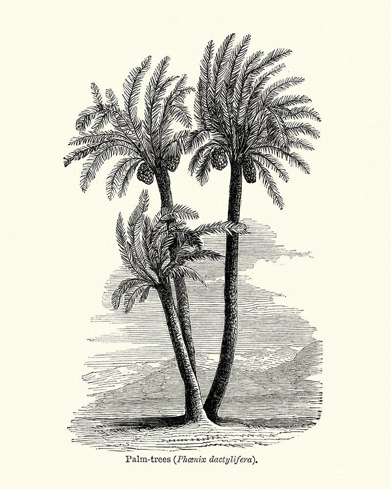 Wall Art Viewer Frames Render