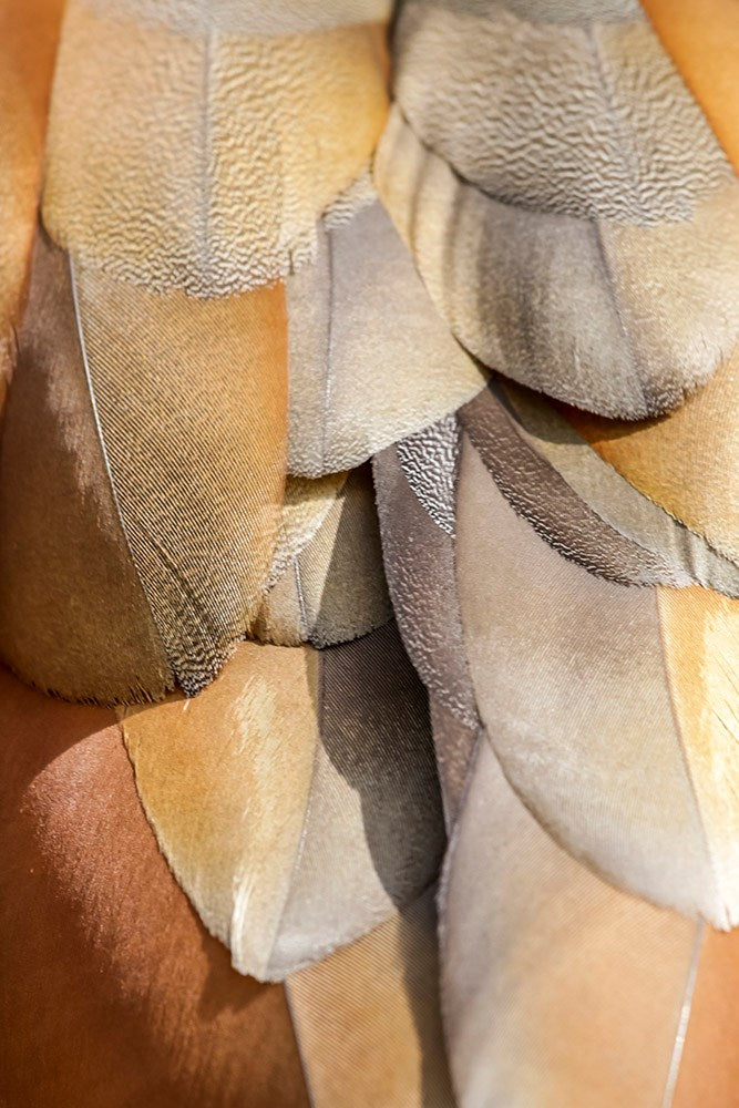 Wall Art Viewer Frames Render