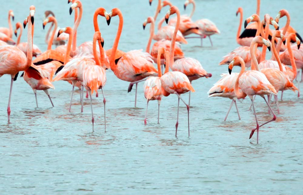 Wall Art Viewer Frames Render