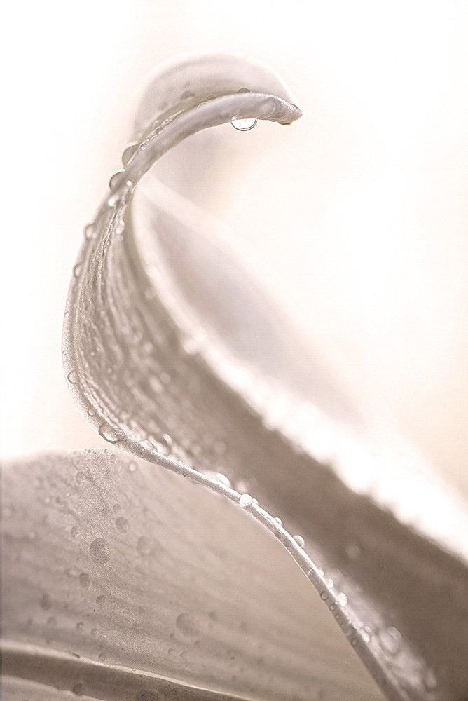 Wall Art Viewer Frames Render