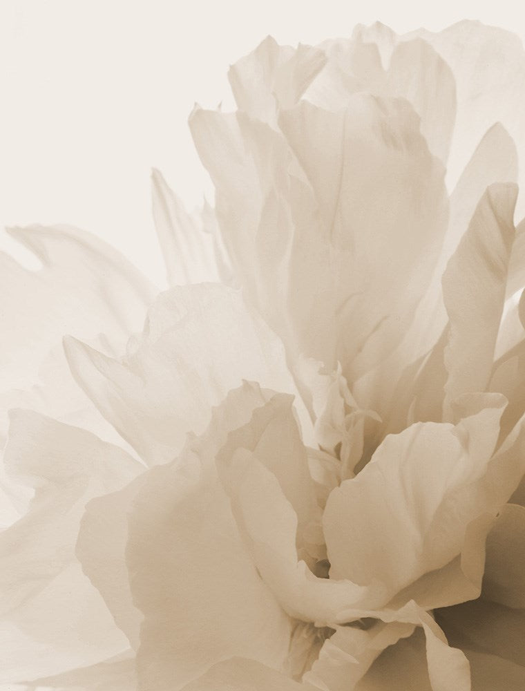 Wall Art Viewer Frames Render