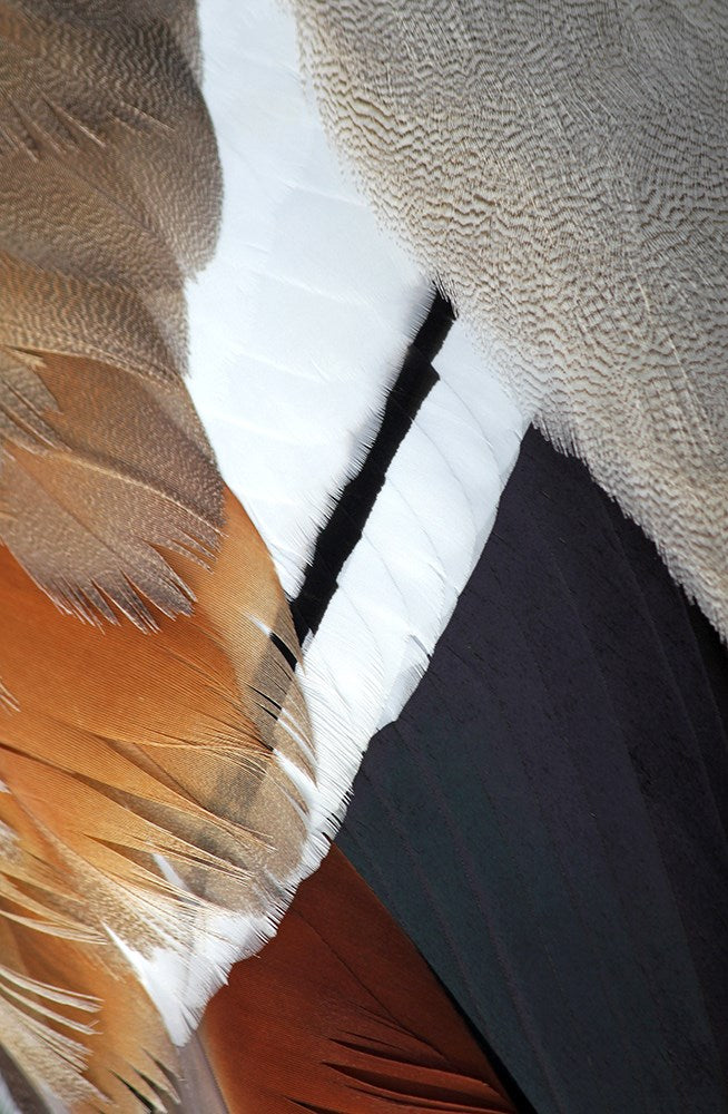 Wall Art Viewer Frames Render