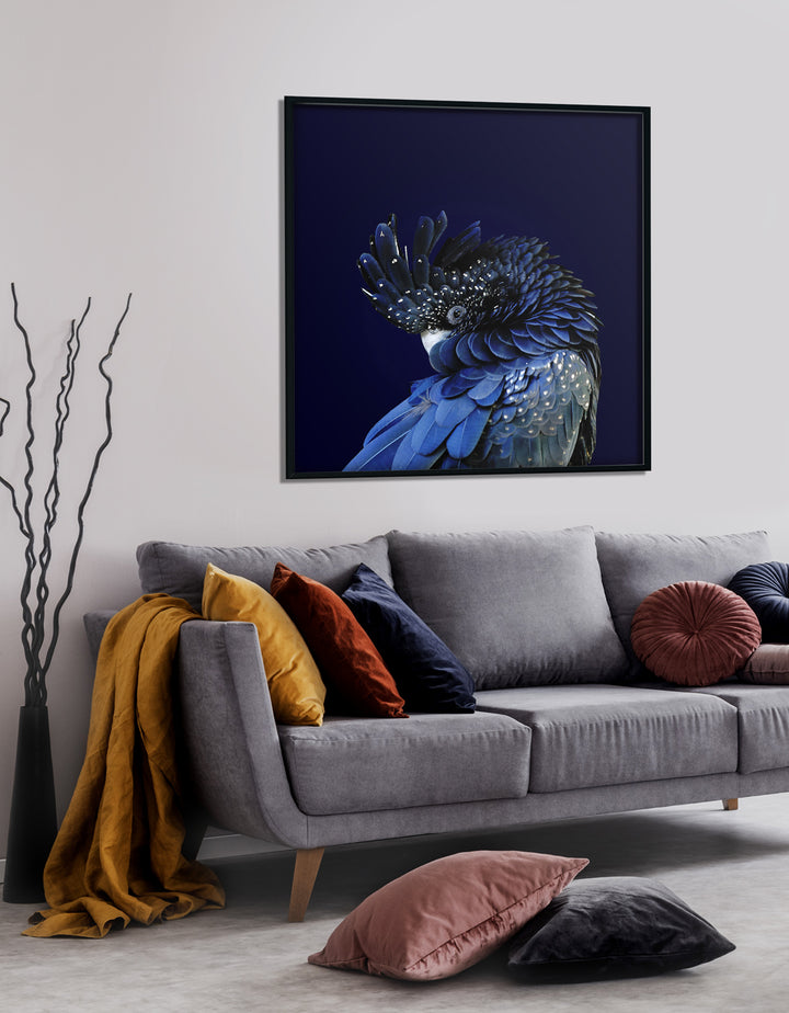 Red-Tailed Black Cockatoo-Open Edition Prints-Fine art print from FINEPRINT co