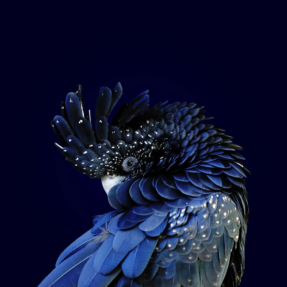 Wall Art Viewer Frames Render