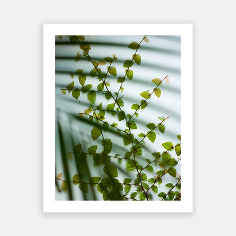 Colorful leaf-Open Edition Prints-Fine art print from FINEPRINT co