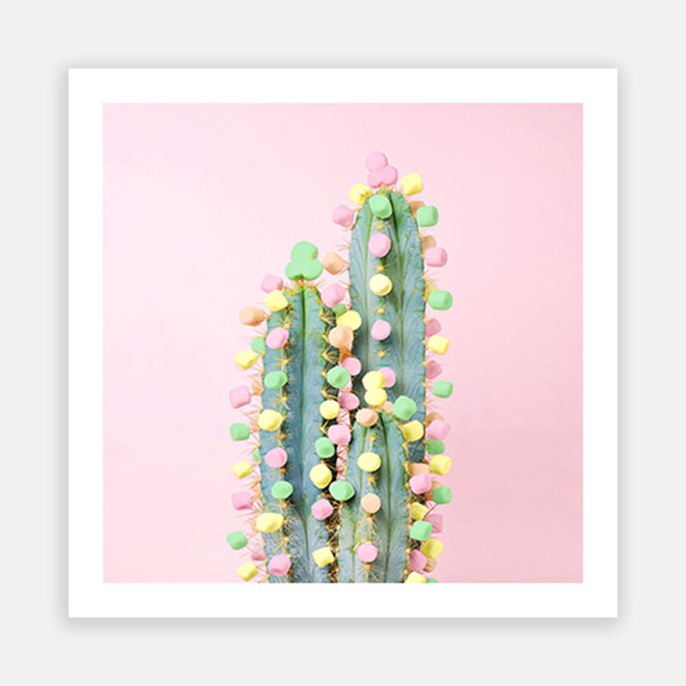 Pastel Cactus-Open Edition Prints-Fine art print from FINEPRINT co