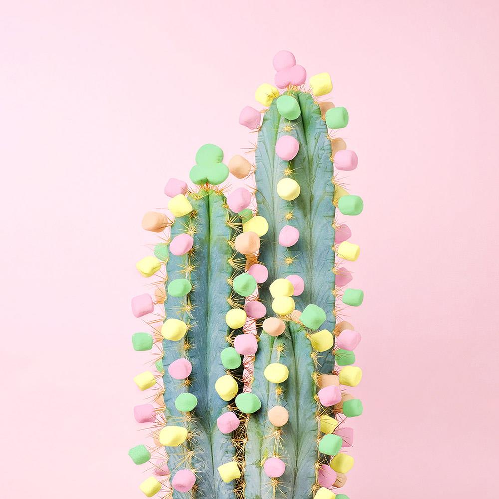 Pastel Cactus-Open Edition Prints-Fine art print from FINEPRINT co