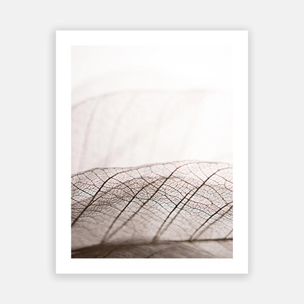 Pastel Colored Leaf Skeleton-Open Edition Prints-Fine art print from FINEPRINT co