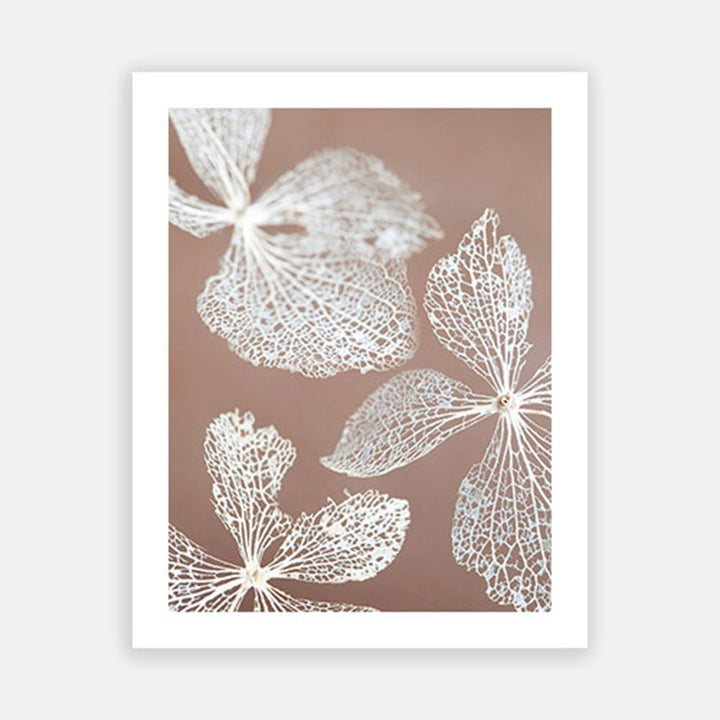 Hydrangea Skeleton 1-Open Edition Prints-Fine art print from FINEPRINT co