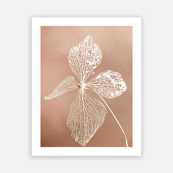 Hydrangea Skeleton 2-Open Edition Prints-Fine art print from FINEPRINT co