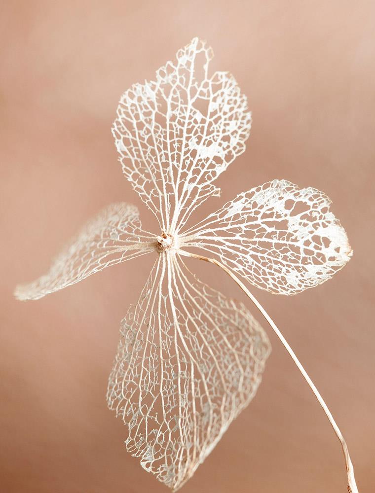 Wall Art Viewer Frames Render