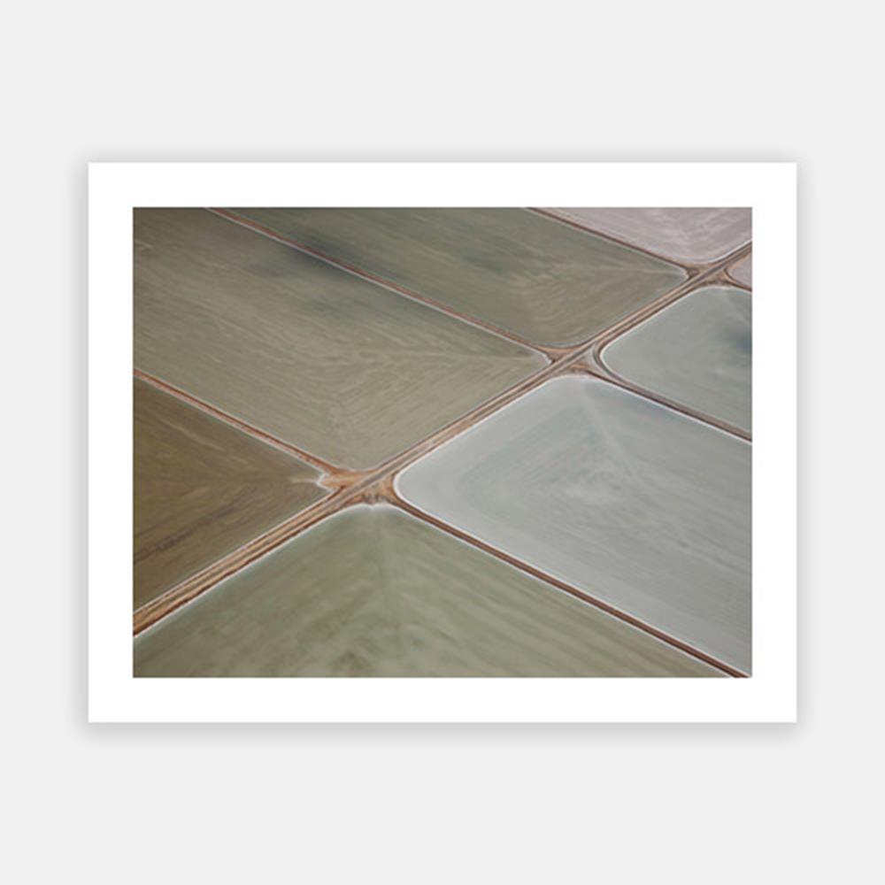 Pastel Field-Open Edition Prints-Fine art print from FINEPRINT co