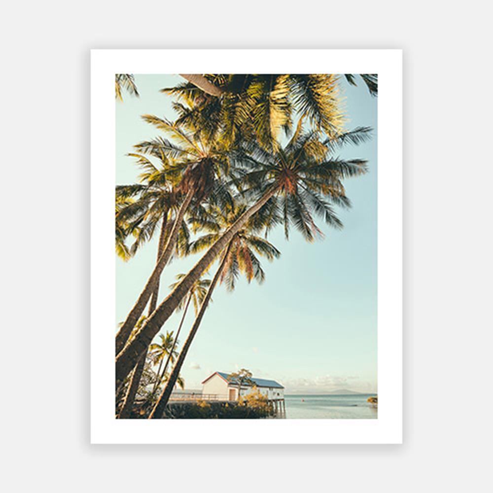 Port Douglas Palm-Open Edition Prints-Fine art print from FINEPRINT co