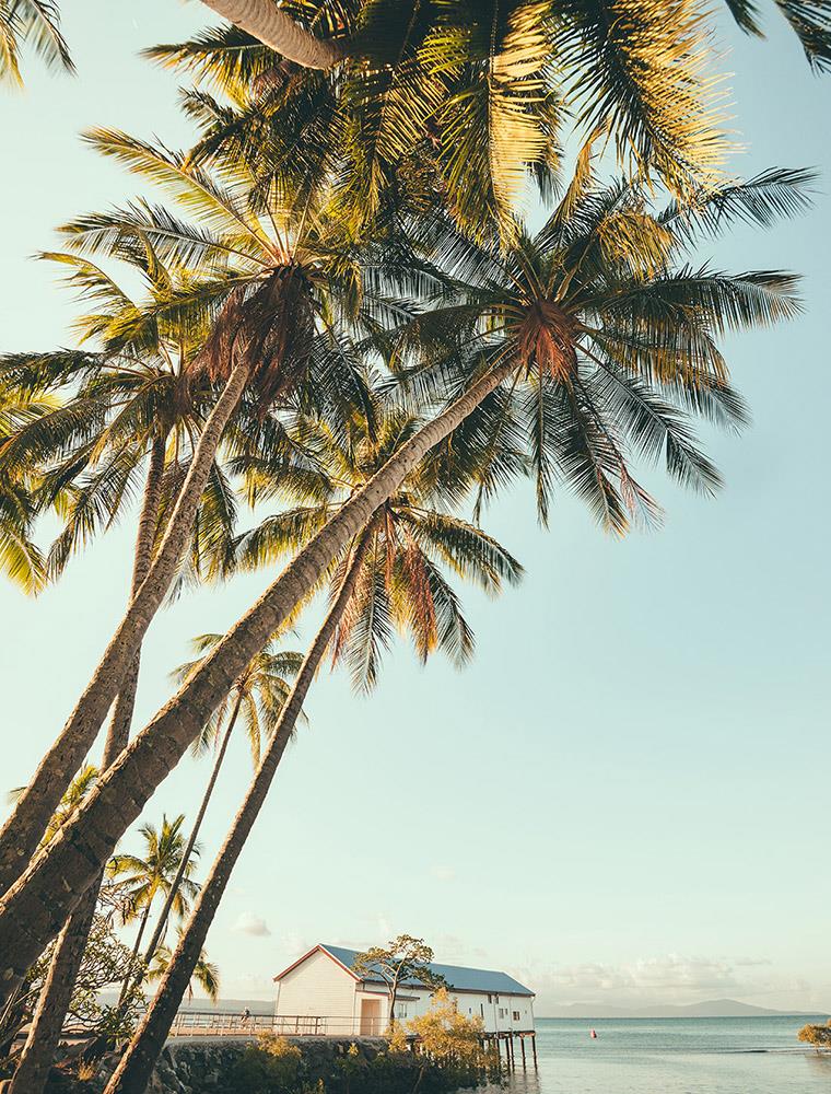 Wall Art Viewer Frames Render